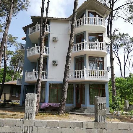 Hotel Shekvetili Extérieur photo