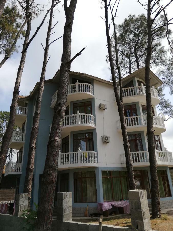 Hotel Shekvetili Extérieur photo